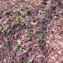 청도강변돌고래펜션 이미지