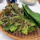 서가네정육식당 이미지
