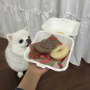 오LOZY