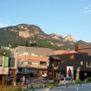 권대원농장 이미지