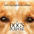 베일리 어게인 ( A Dog&#39;s Purpose 2017 ) 이미지