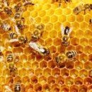 동향교4길 이미지