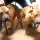 천하농장 이미지