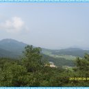 신봉삼거리 Daum카페