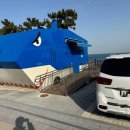 강동오토캠핑장 이미지