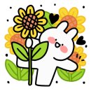 브라운도트영일대해수욕장점 이미지