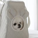 펫 하우스 이미지