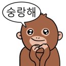 샐루아투스