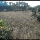 시흥리-2 이미지