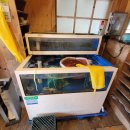 착한낙지홍도점 이미지