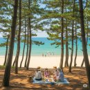 송정솔바람해변 이미지