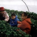 경록농장 이미지