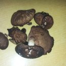 부근농장 이미지