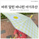 바나리 이미지