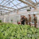 현지농장 이미지