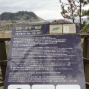 서귀동-19 이미지