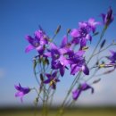 박신혜유외과의원 이미지