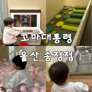 울산 북구 송정동 키즈카페 | 꼬마대통령 울산 송정점 솔직 후기