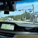 양지파인글램핑 | [용인] 반려견 동반 가능 / 양지파인리조트 숲속글램핑장 보고글램핑 후기 🐶🌿