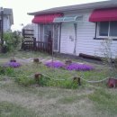 개미펜션 이미지