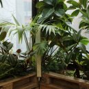 예당한방병원 이미지