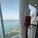 해파랑길관광안내소 이미지