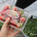 응골농장 이미지