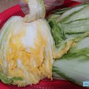 김장일농장 이미지