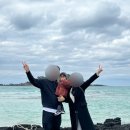 제주애아리 이미지