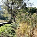 안곡경로당 이미지