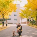 댕댕이미용 이미지