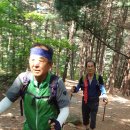 盛夏綠陰 phytoncide 山林浴 山行 이미지