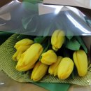 하탑초등학교 이미지