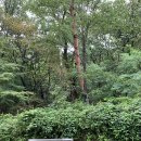 완숙골약수터 이미지