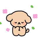 펫보드레 이미지