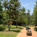 (주)리얼블록스 | 2026년 5월 셋째주 일상