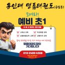 용인대 명품 태권도장 이미지