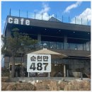 순천만487카페 이미지