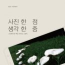 가지많은나무