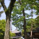 처음가는 좌충우돌의 일본일주 8박9일(13)-아름다운 나라공원 이미지