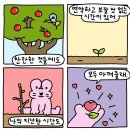 백마강카라반오토캠핑장 이미지