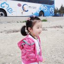 초롱목장 이미지