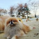 중앙공원 주차장정문 이미지