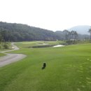 알펜시아 700 골프클럽 이미지