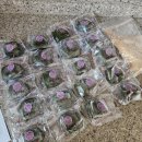 정숙자 | 일상, 엄마일상, 3월 일상