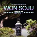 주식회사제주블랙라벨 | [리뷰] 박재범 원소주 스피릿 구입후기 및 솔직리뷰 gs25 재고확인 꿀팁