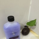 아일오브걸 이미지
