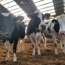 병은농장 이미지