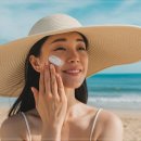 분당-342 이미지