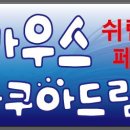 맹그러브 이미지